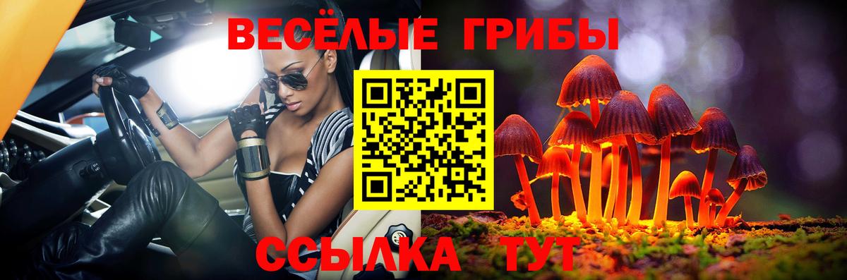 Галлюциногенные грибы Cubensis  Галлюциногенные грибы ЛСД  Балтийск  Вход с VPN 